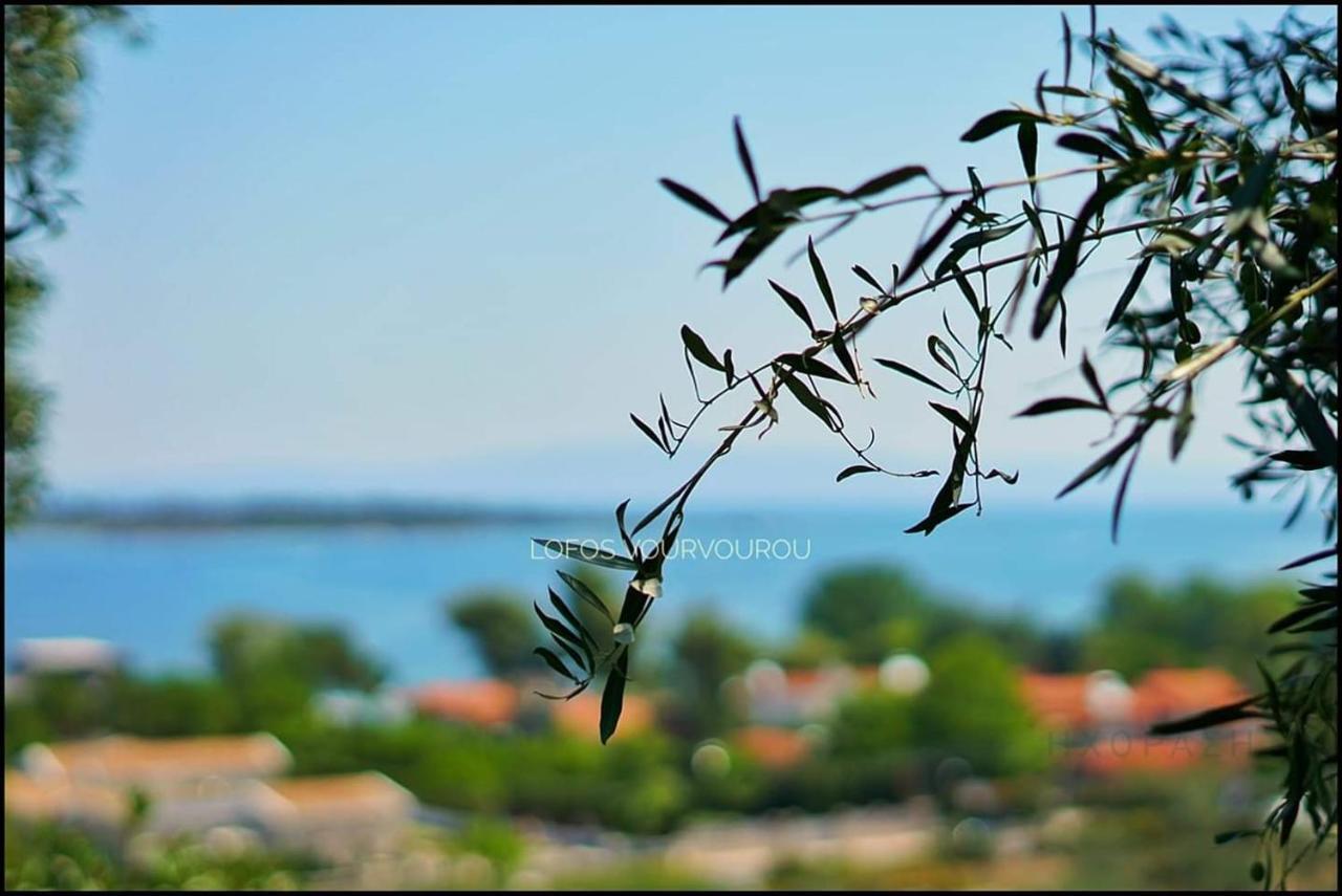 Lofos Vourvourou Apartment Luaran gambar